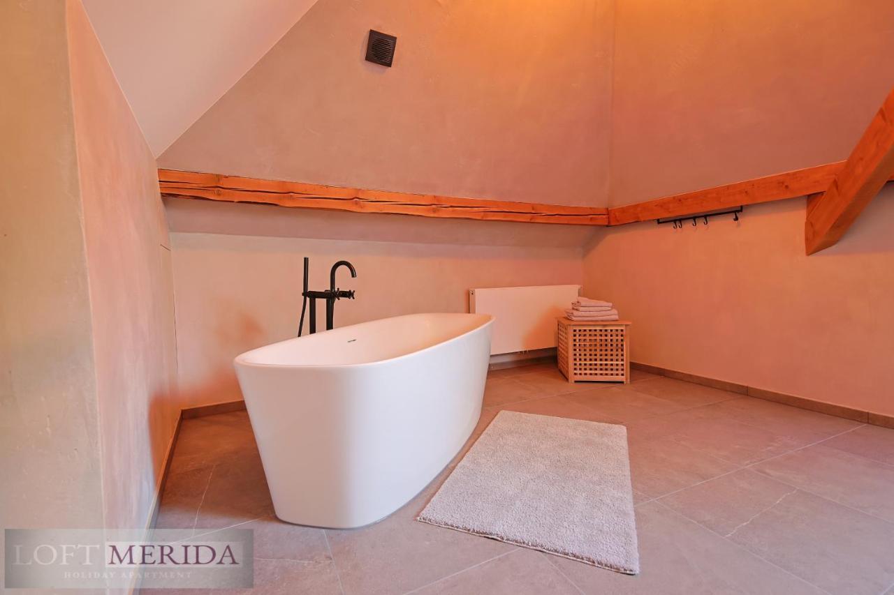 Loft Merida - Designer Apartment With Large Bathtub Butgenbach Ngoại thất bức ảnh